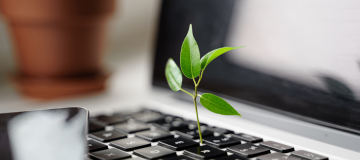 The image shows an opened laptop out of which a plant is growing.